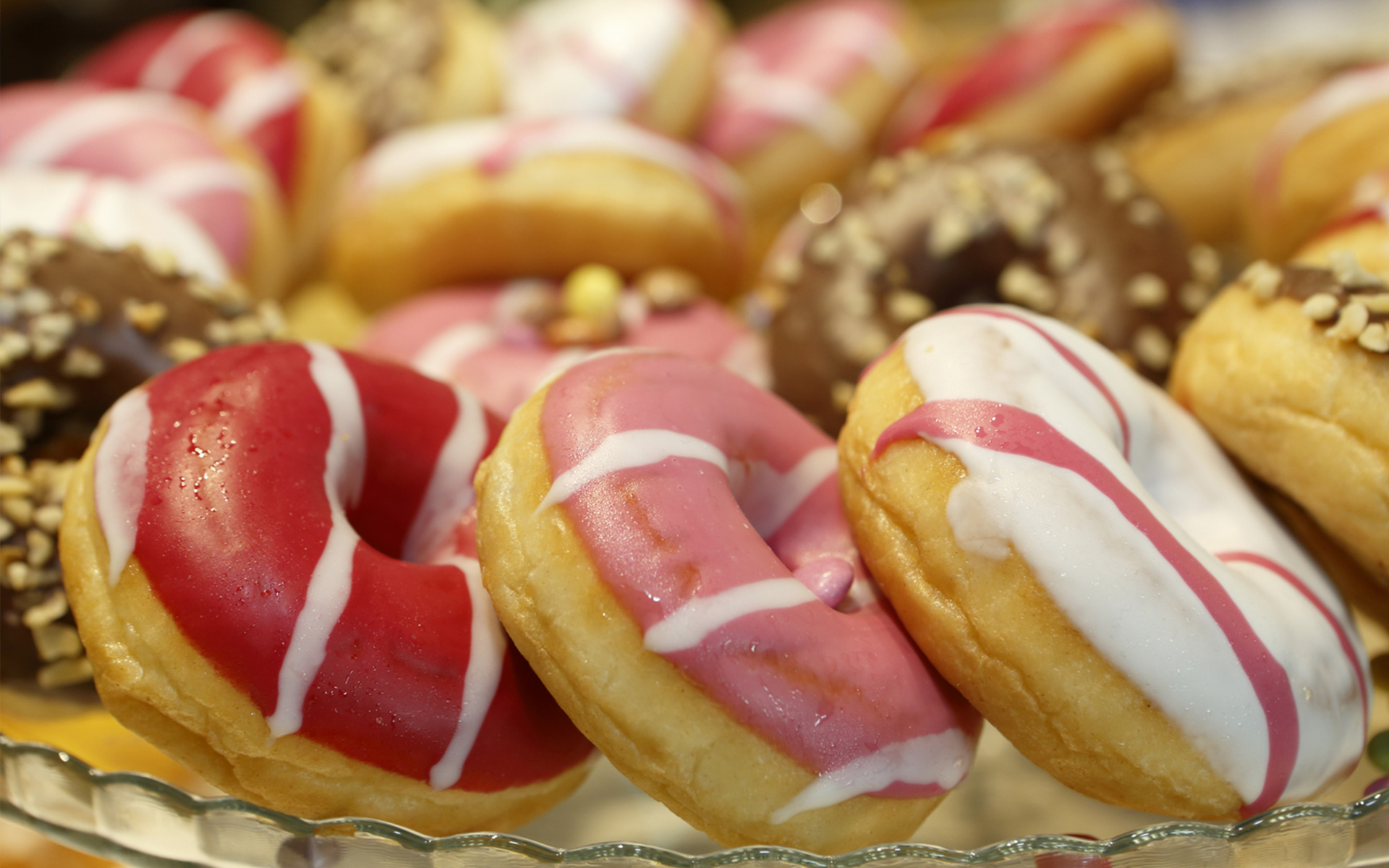 FAI DELLA BAKERY IL TUO NUOVO BUSINESS!